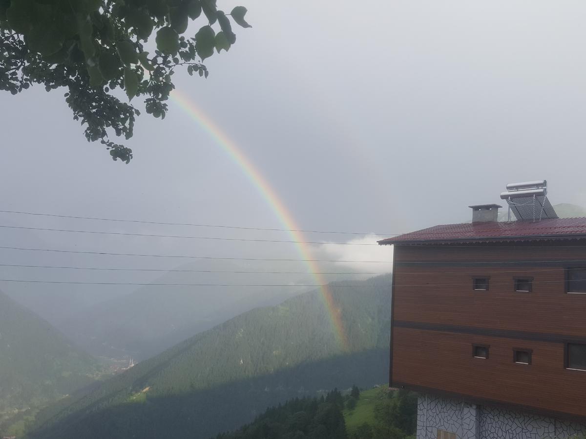 Gumul Pansiyon Uzungöl Εξωτερικό φωτογραφία